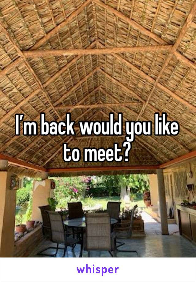 I’m back would you like to meet?