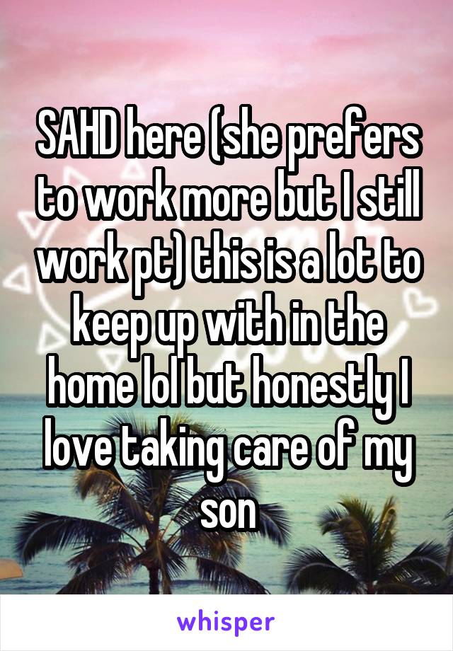 SAHD here (she prefers to work more but I still work pt) this is a lot to keep up with in the home lol but honestly I love taking care of my son