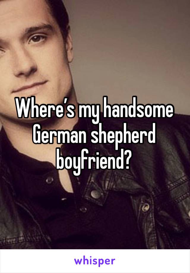 Where’s my handsome German shepherd boyfriend?