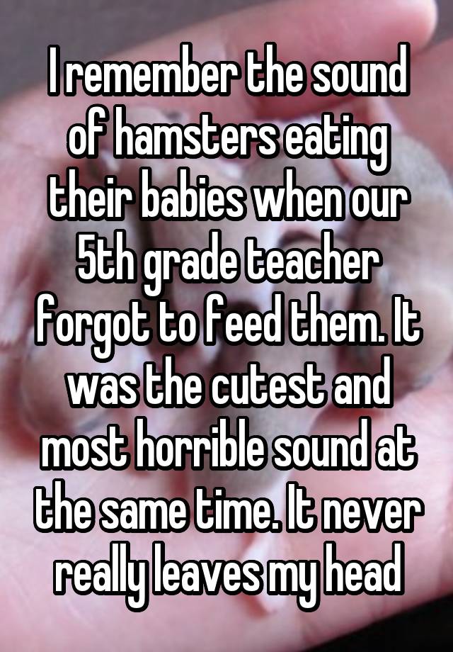 I remember the sound of hamsters eating their babies when our 5th grade teacher forgot to feed them. It was the cutest and most horrible sound at the same time. It never really leaves my head