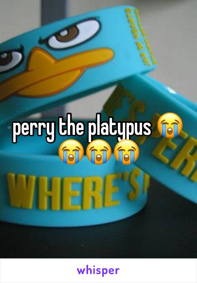 perry the platypus 😭😭😭😭