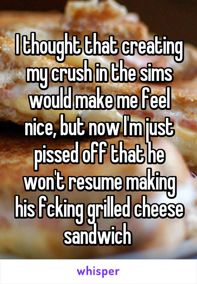 I thought that creating my crush in the sims would make me feel nice, but now I'm just pissed off that he won't resume making his fcking grilled cheese sandwich 