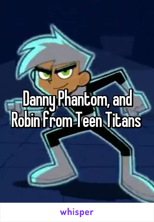 Danny Phantom, and Robin from Teen Titans 