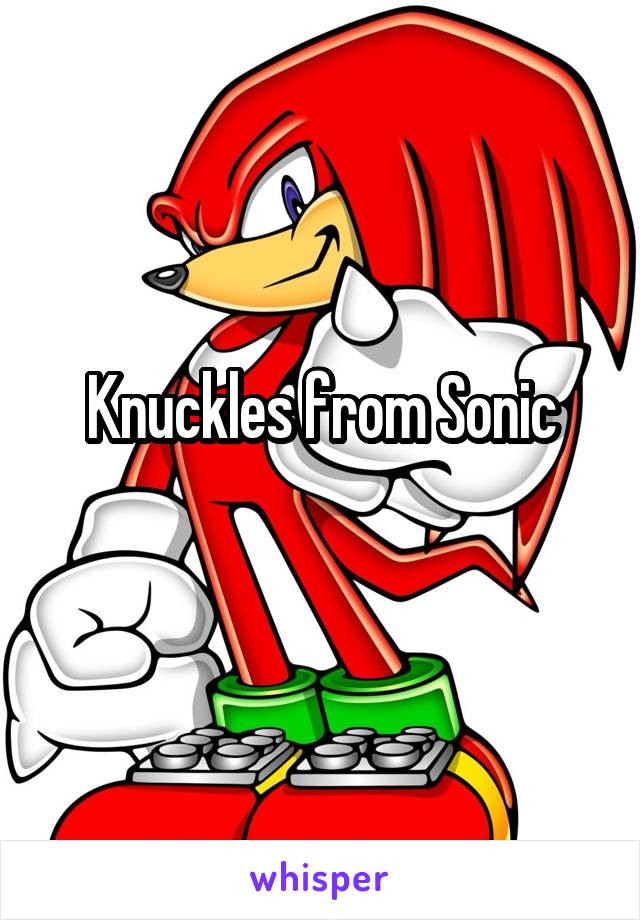 Knuckles from Sonic
