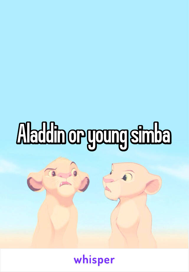 Aladdin or young simba 