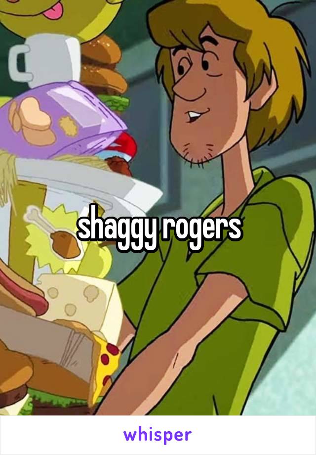 shaggy rogers