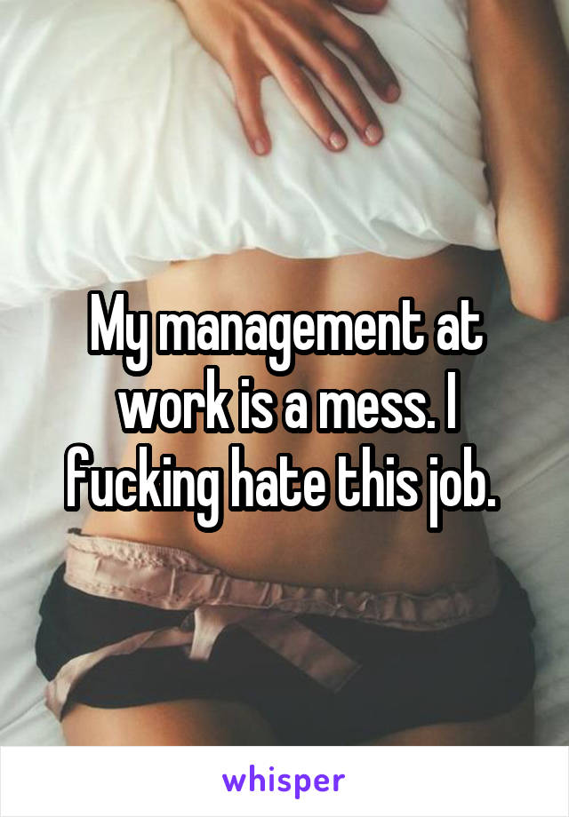 My management at work is a mess. I fucking hate this job. 