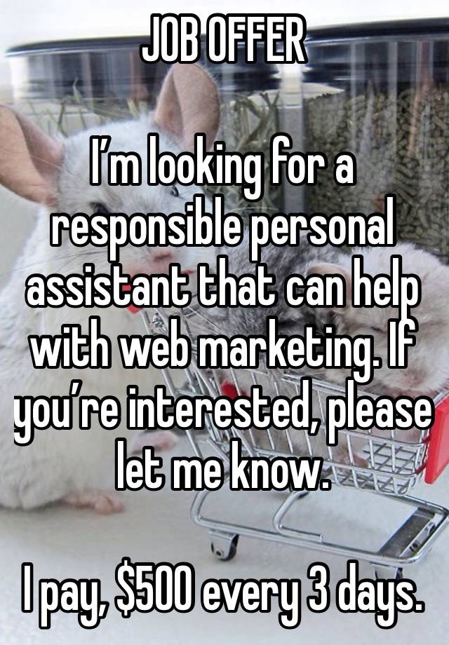 JOB OFFER 

I’m looking for a responsible personal assistant that can help with web marketing. If you’re interested, please let me know.

I pay, $500 every 3 days.