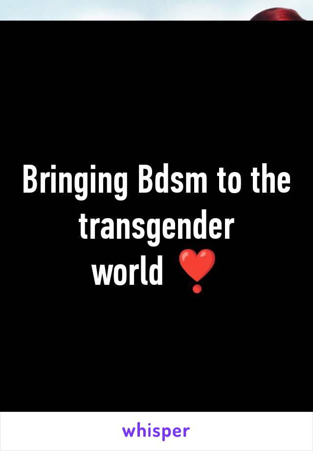 Bringing Bdsm to the transgender world ❣️