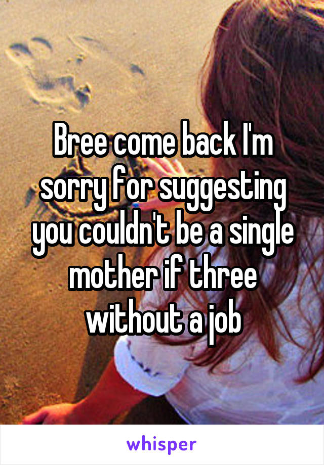 Bree come back I'm sorry for suggesting you couldn't be a single mother if three without a job