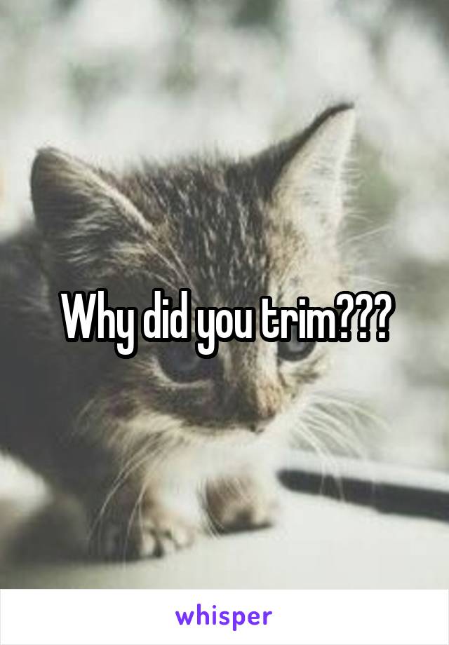 Why did you trim???