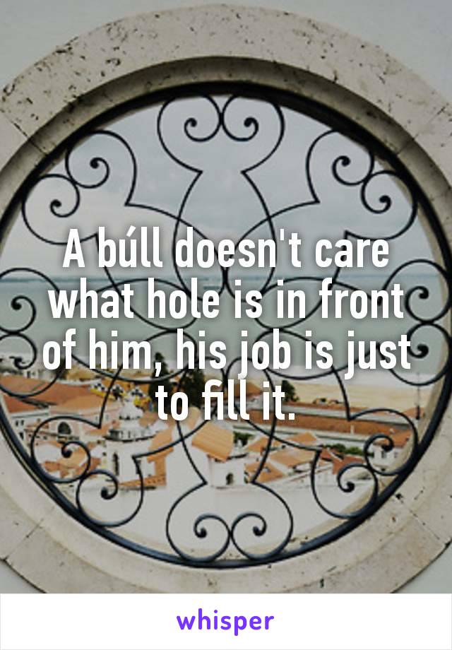 A búll doesn't care what hole is in front of him, his job is just to fill it.