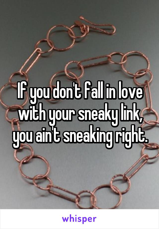 If you don't fall in love with your sneaky link, you ain't sneaking right.