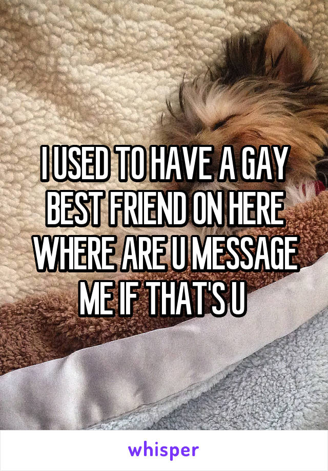 I USED TO HAVE A GAY BEST FRIEND ON HERE WHERE ARE U MESSAGE ME IF THAT'S U 