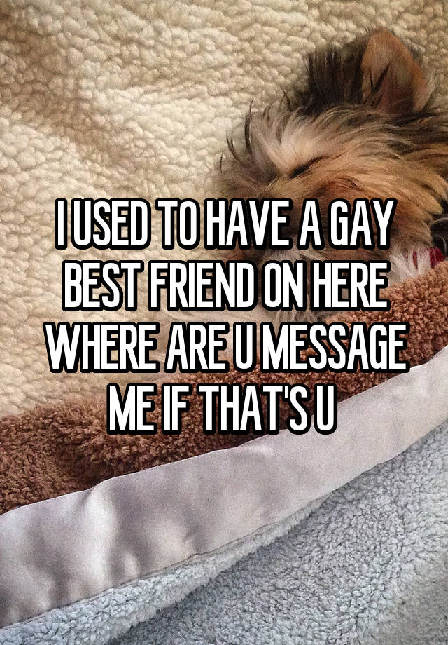 I USED TO HAVE A GAY BEST FRIEND ON HERE WHERE ARE U MESSAGE ME IF THAT'S U 