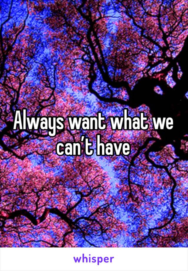 Always want what we can’t have