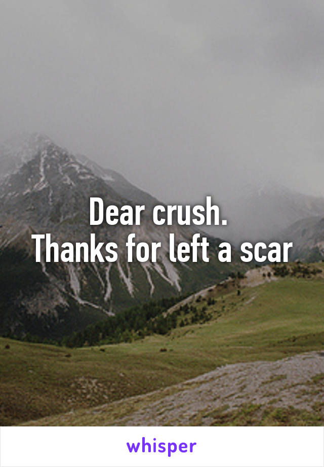 Dear crush. 
Thanks for left a scar