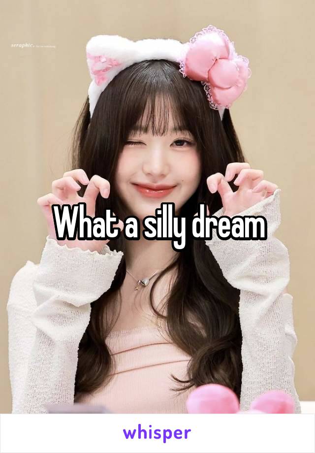 What a silly dream