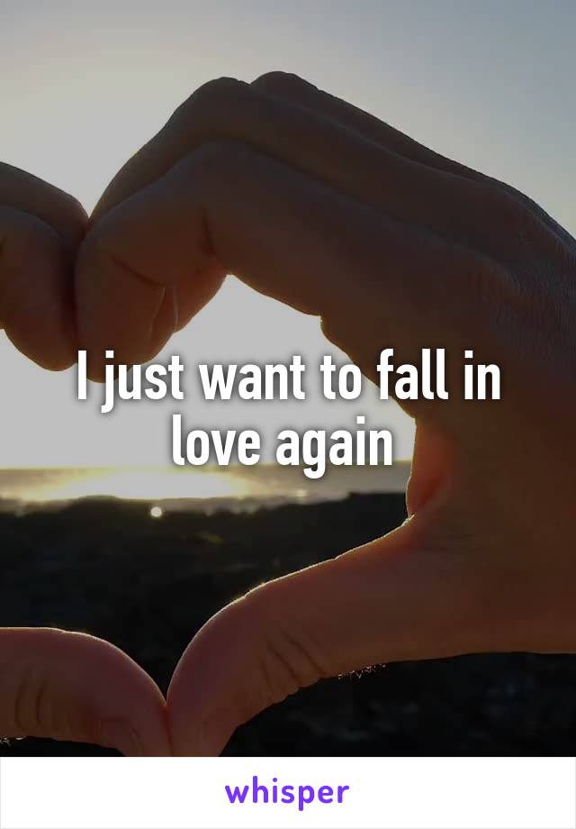 I just want to fall in love again 