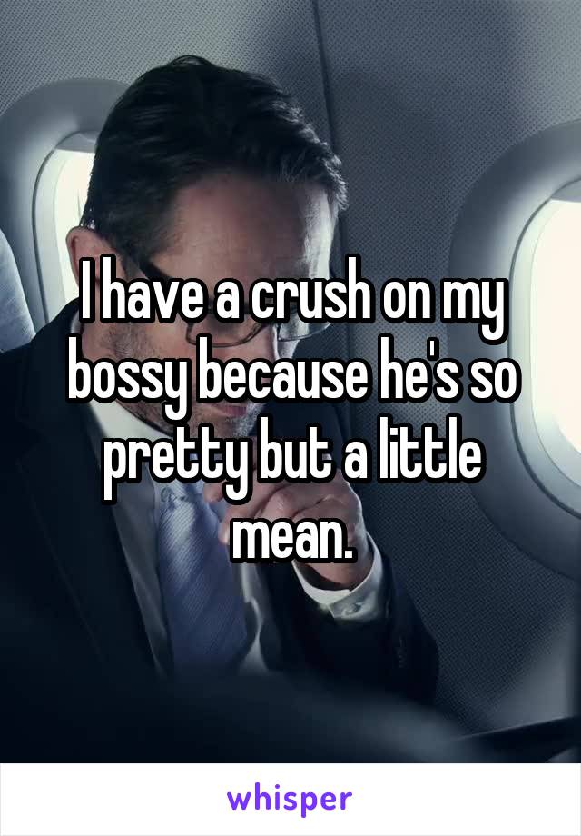 I have a crush on my bossy because he's so pretty but a little mean.