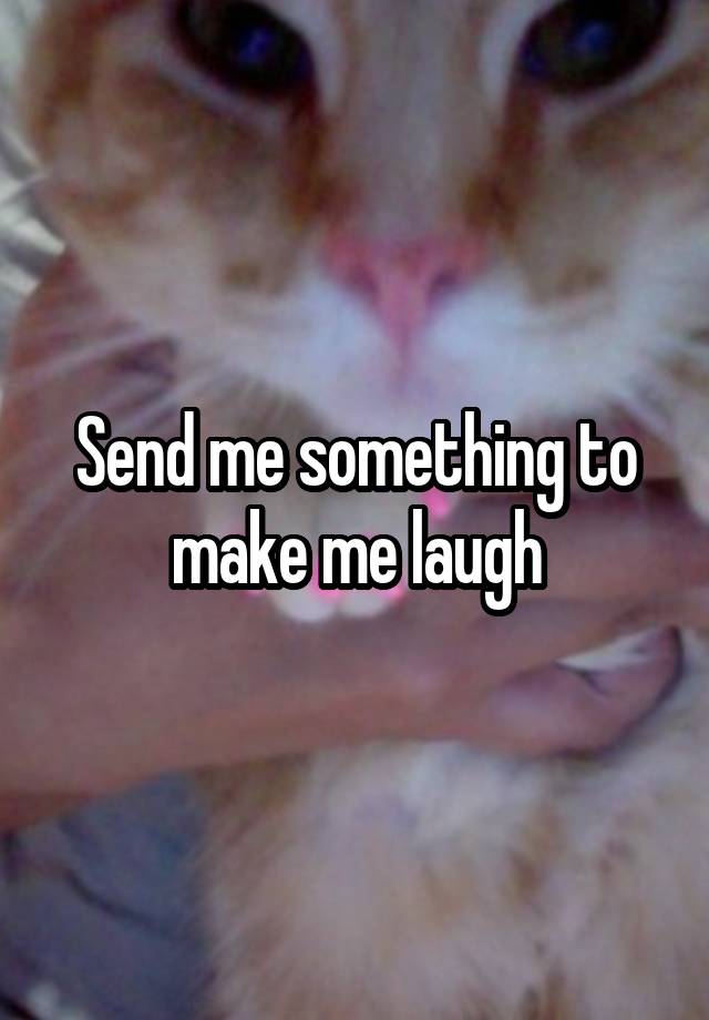 Send me something to make me laugh