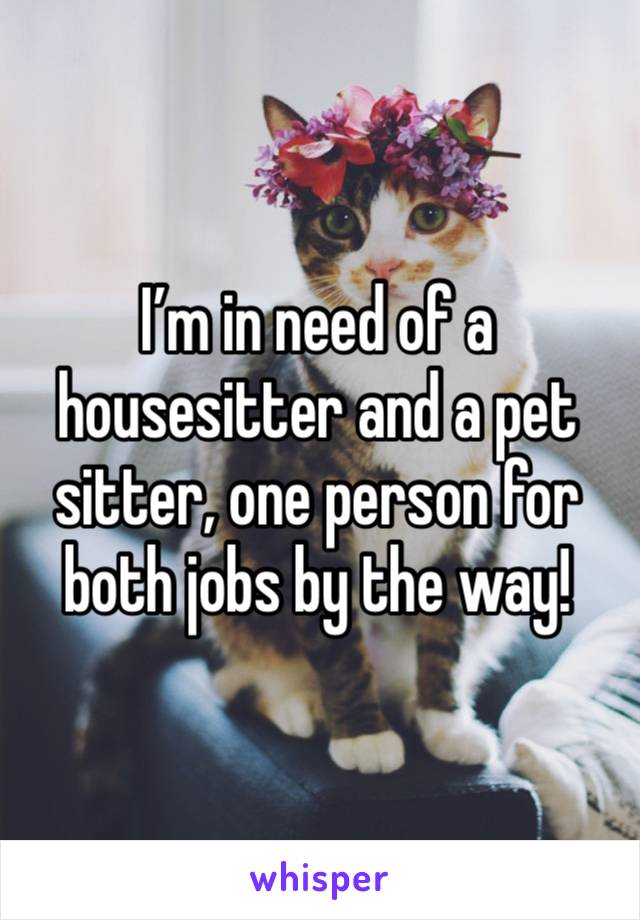 I’m in need of a housesitter and a pet sitter, one person for both jobs by the way!