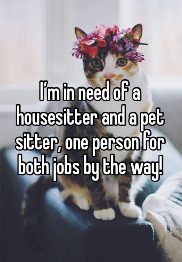 I’m in need of a housesitter and a pet sitter, one person for both jobs by the way!