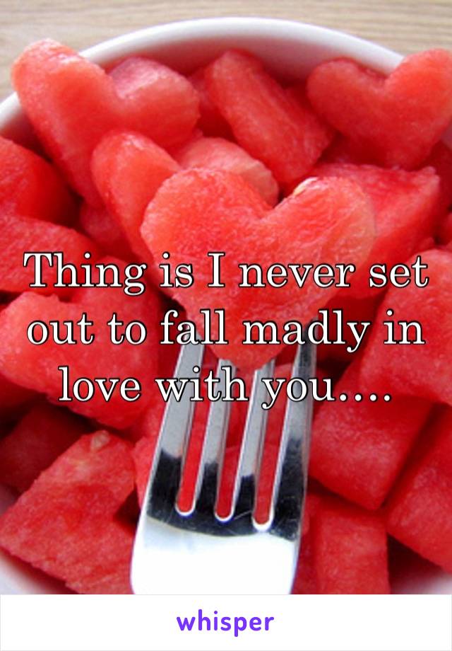 Thing is I never set out to fall madly in love with you….