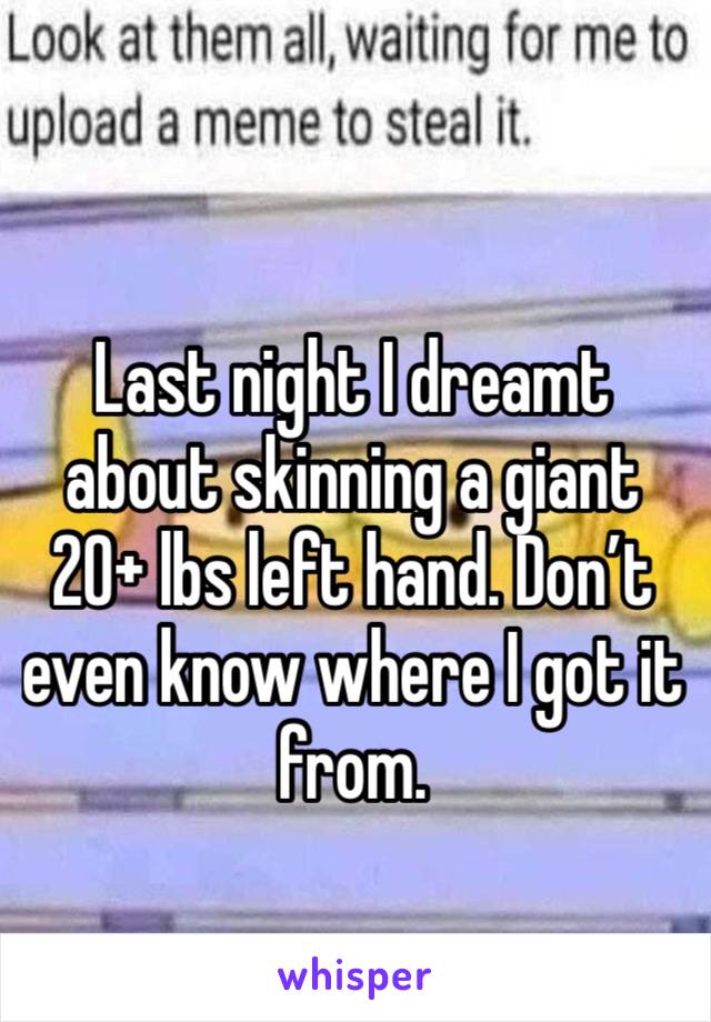 Last night I dreamt about skinning a giant 20+ lbs left hand. Don’t even know where I got it  from. 