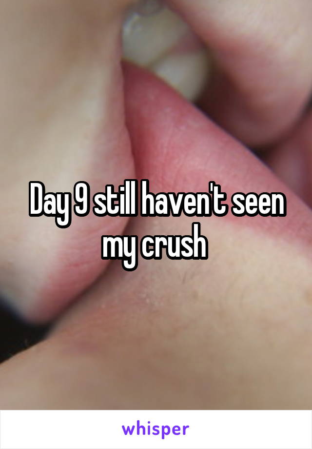 Day 9 still haven't seen my crush 