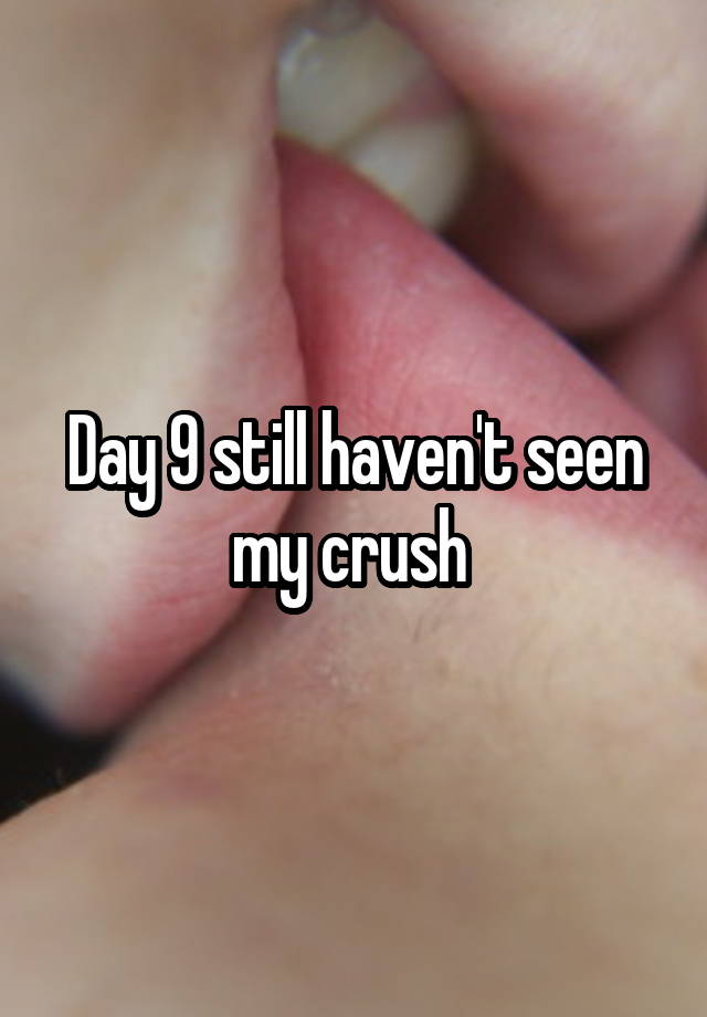 Day 9 still haven't seen my crush 