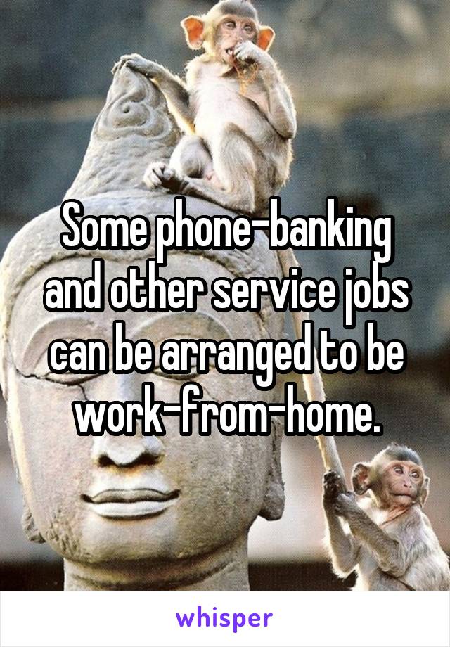 Some phone-banking and other service jobs can be arranged to be work-from-home.