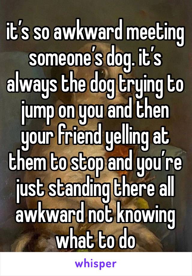 it’s so awkward meeting someone’s dog. it’s always the dog trying to jump on you and then your friend yelling at them to stop and you’re just standing there all awkward not knowing what to do