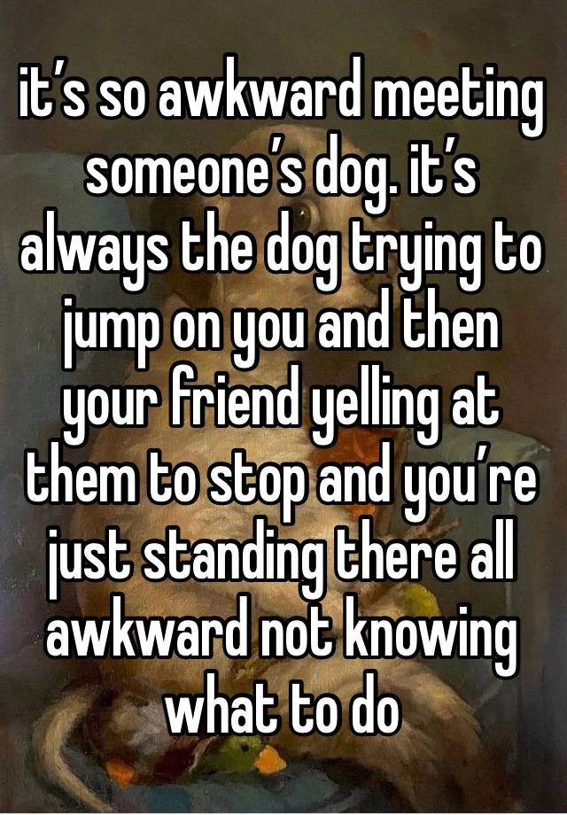 it’s so awkward meeting someone’s dog. it’s always the dog trying to jump on you and then your friend yelling at them to stop and you’re just standing there all awkward not knowing what to do