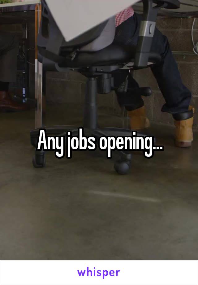 Any jobs opening...