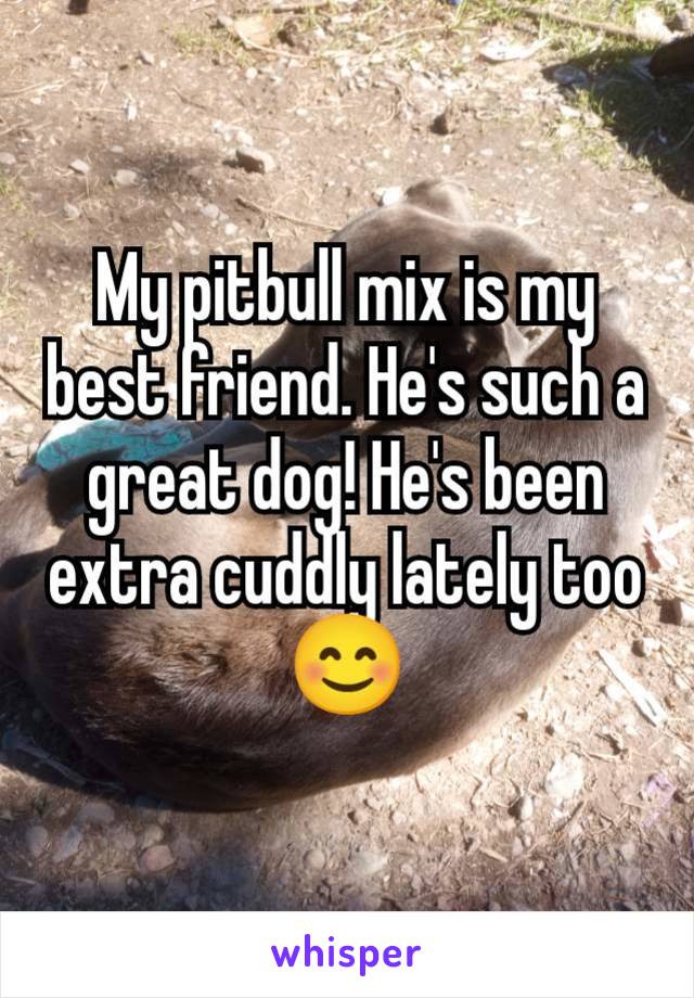 My pitbull mix is my best friend. He's such a great dog! He's been extra cuddly lately too 😊