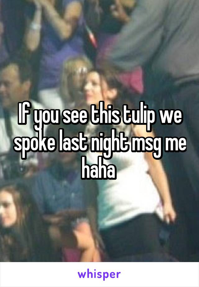 If you see this tulip we spoke last night msg me haha 