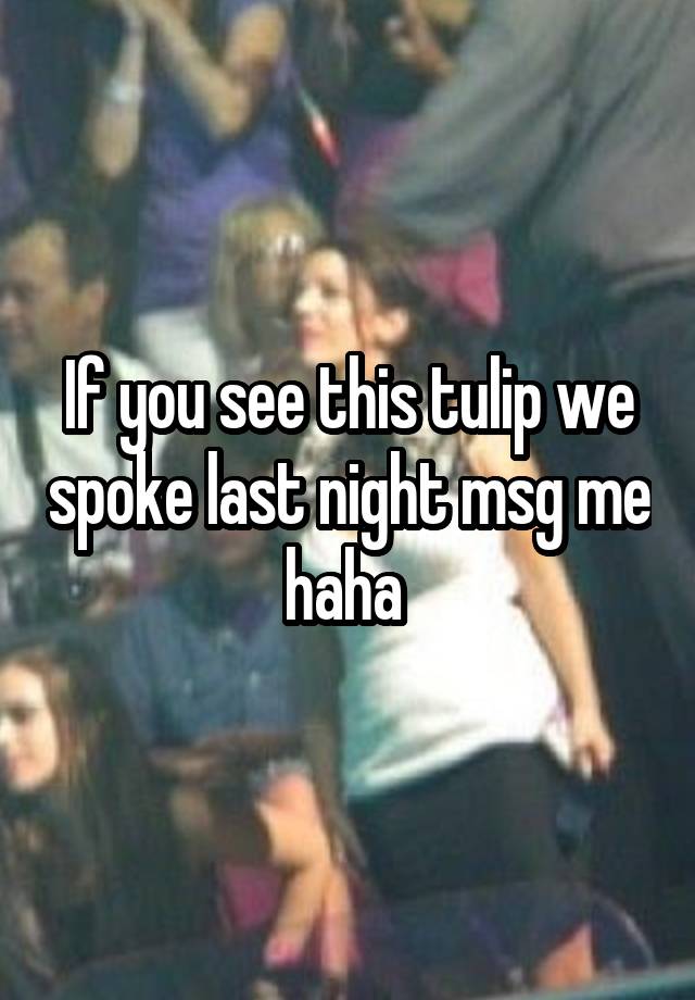 If you see this tulip we spoke last night msg me haha 