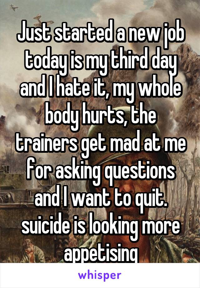 Just started a new job today is my third day and I hate it, my whole body hurts, the trainers get mad at me for asking questions and I want to quit. suicide is looking more appetising