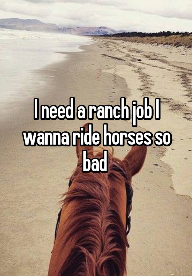 I need a ranch job I wanna ride horses so bad 