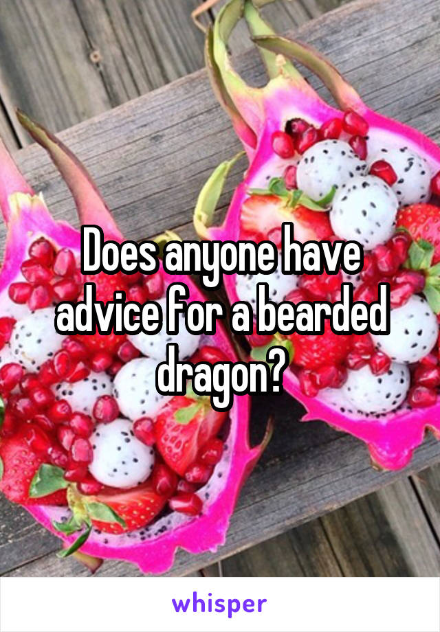 Does anyone have advice for a bearded dragon?