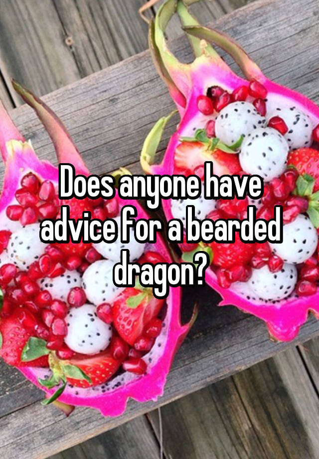 Does anyone have advice for a bearded dragon?