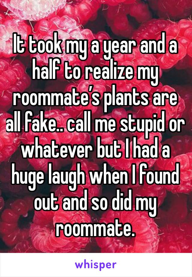 It took my a year and a half to realize my roommate’s plants are all fake.. call me stupid or whatever but I had a huge laugh when I found out and so did my roommate. 