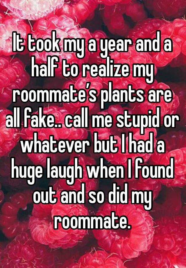 It took my a year and a half to realize my roommate’s plants are all fake.. call me stupid or whatever but I had a huge laugh when I found out and so did my roommate. 