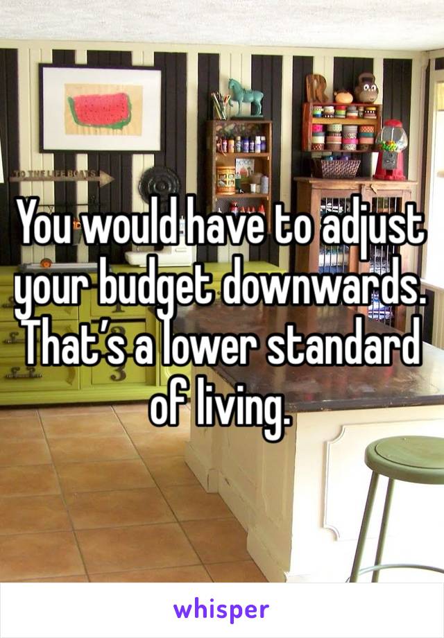 You would have to adjust your budget downwards. That’s a lower standard of living. 
