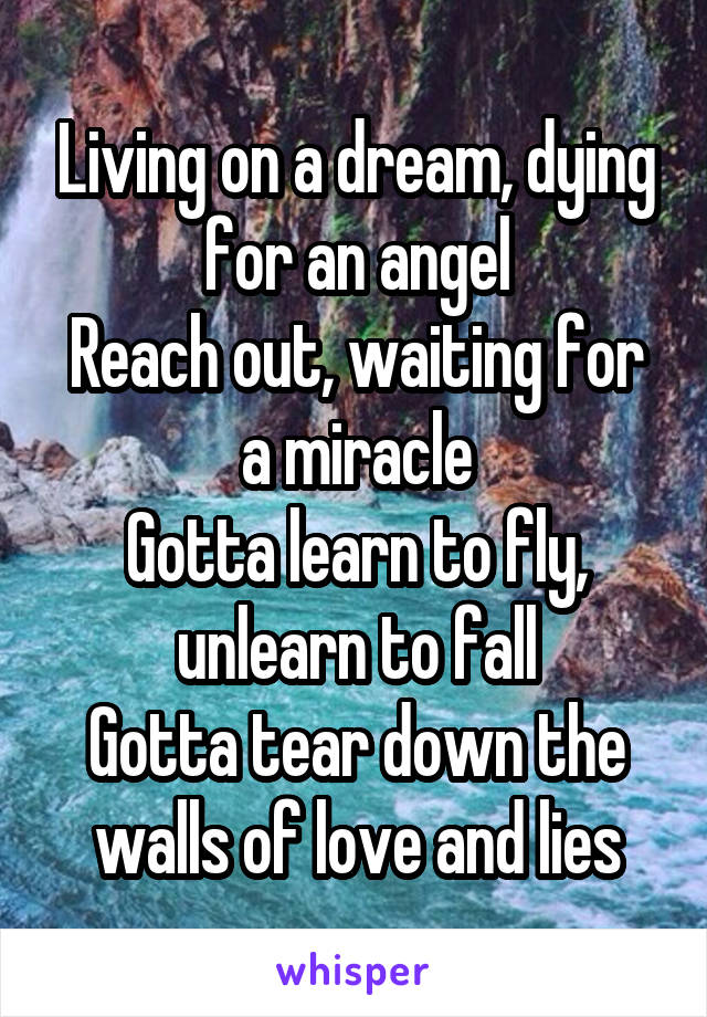 Living on a dream, dying for an angel
Reach out, waiting for a miracle
Gotta learn to fly, unlearn to fall
Gotta tear down the walls of love and lies