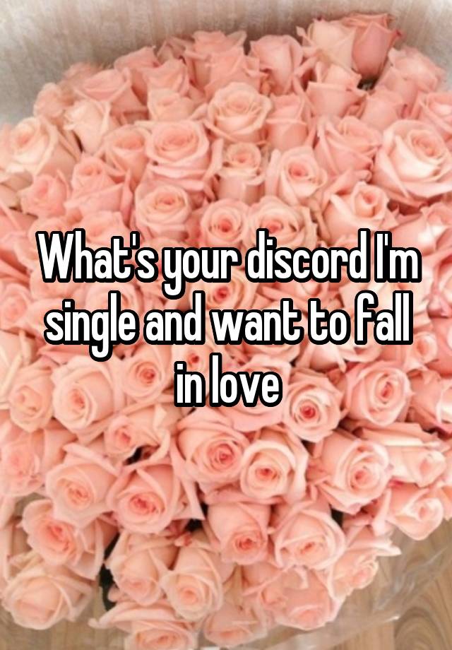 What's your discord I'm single and want to fall in love