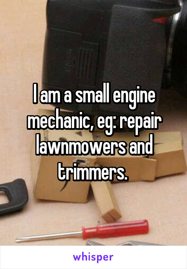 I am a small engine mechanic, eg: repair lawnmowers and trimmers. 