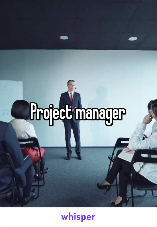 Project manager 