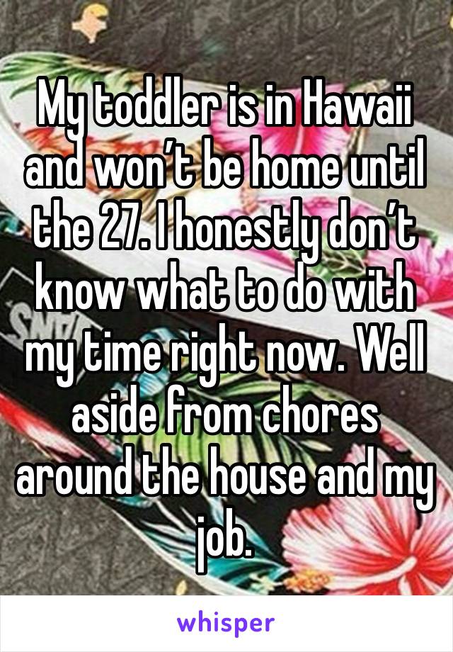 My toddler is in Hawaii and won’t be home until the 27. I honestly don’t know what to do with my time right now. Well aside from chores around the house and my job. 